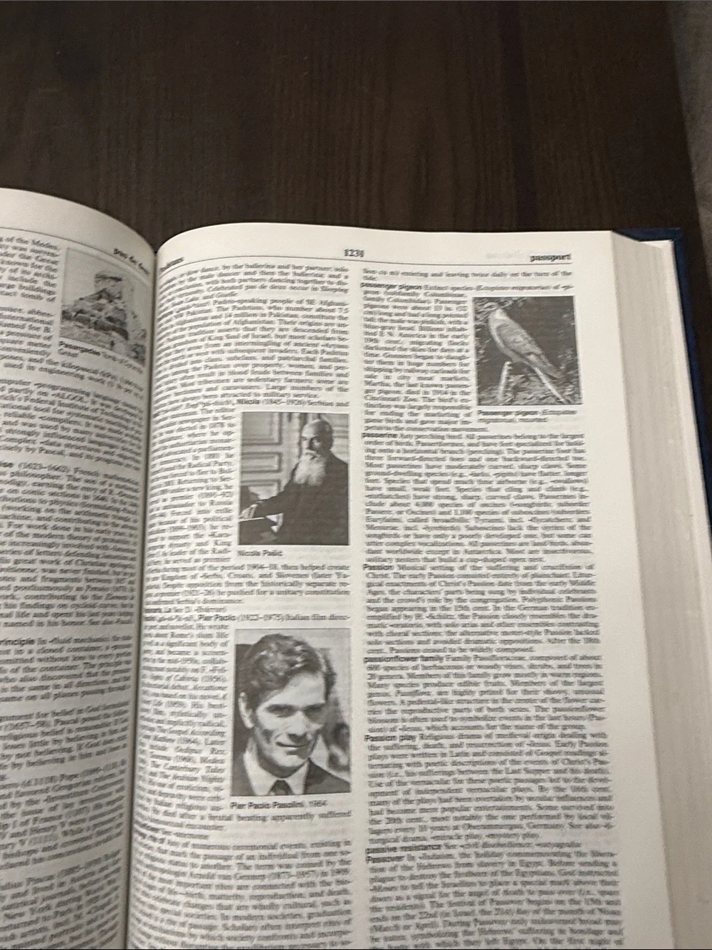 Collegiate Encyclopedia Hardcover in Blue